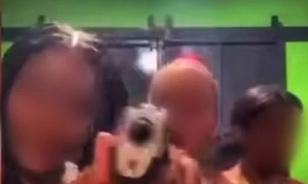 Detienen a dos mujeres por exhibir arma de fuego ilegal durante transmisión en vivo en las redes sociales