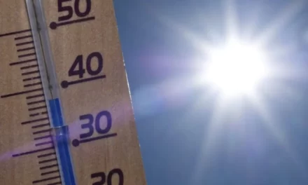 El calor de verano se adelanta y se proyecta el año más cálido