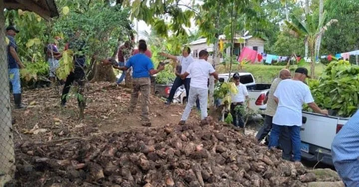 Ministerio de Agricultura entrega plantas a productores de Arroyo al Medio.