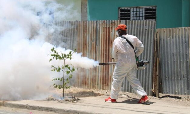 Se espera un aumento considerable del dengue en los próximos meses