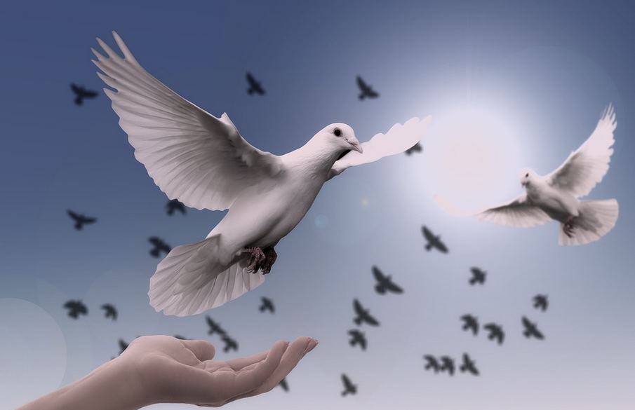 Día de la Paz: por qué se conmemora hoy, jueves 21 de septiembre