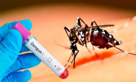 RD atraviesa brote epidémico de dengue, anuncian autoridades sanitarias