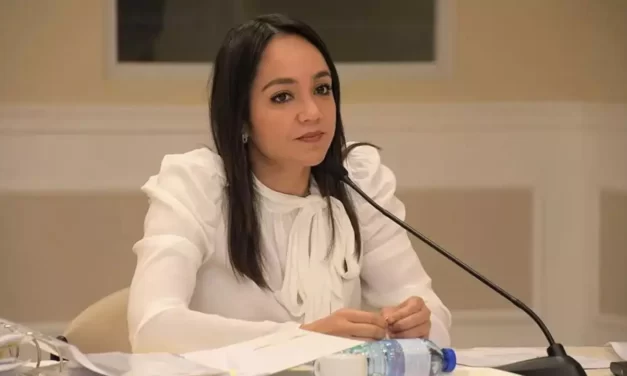 “Que venga el padre o el hijo”, no importa dice Faride sobre candidatura de Omar Fernandez