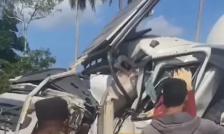 Accidente entre patana y camión en avenida Circunvalación deja una persona fallecida