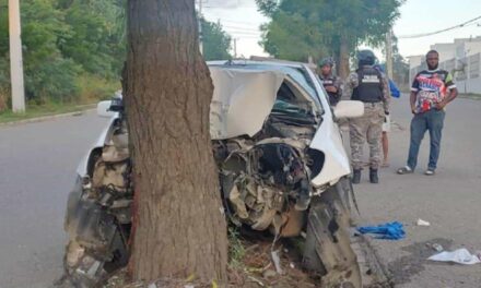 Enfermera y su hijo pierden la vida al impactar su vehículo contra un árbol en Santiago
