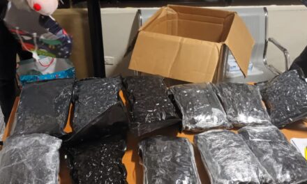 En el AILA: decomisan once paquetes de marihuana escondidos en frisas de cama