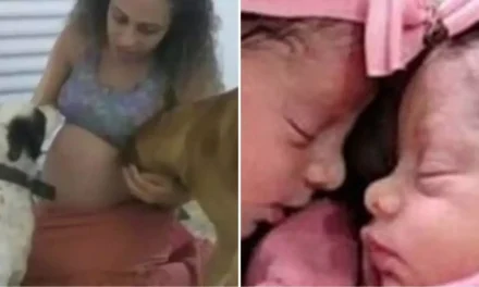 Perro ataca y mata a gemelas recién nacidas en Brasil