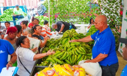 Compran 14 millones plátanos a productores afectados por lluvias