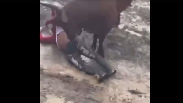 Joven es embestido por un toro en las tradicionales corridas en El Seibo