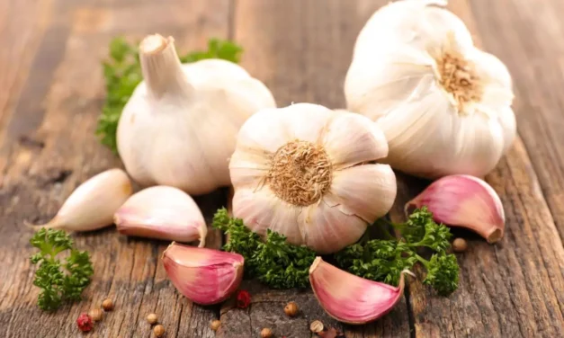 Estos son beneficios del ajo en la salud cardiovascular
