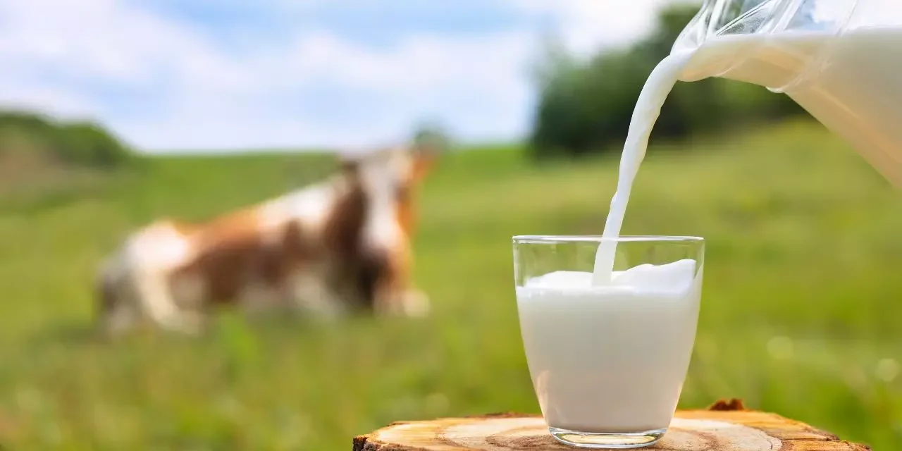 Día Mundial de la leche ¿Por qué es importante consumirla?