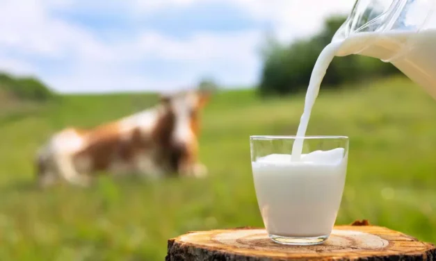 Día Mundial de la leche ¿Por qué es importante consumirla?