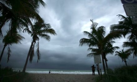 EEUU: Biden declara emergencia en Florida por tormenta ‘Debby’