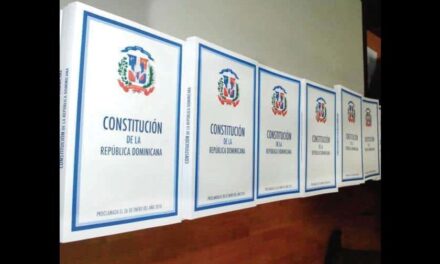 La Constitución tiene faltas gramaticales en muchos artículos