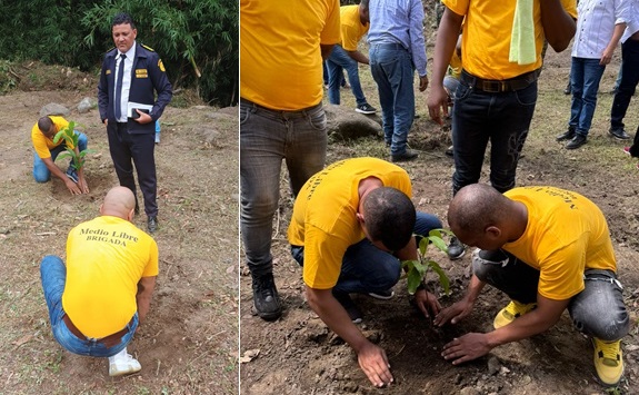 Utilizan presos en labores de reforestación cuenca río Nizao