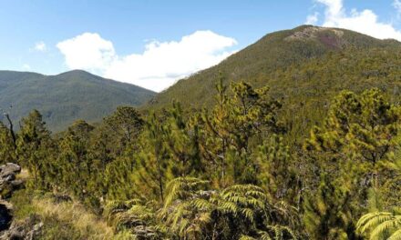 Este miércoles se conmemora Día Internacional de las Montañas