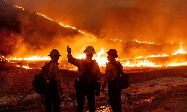 Aumentan a 24 muertos por los incendios forestales en EEUU