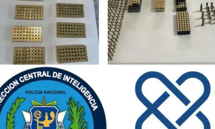 Ocupan más de mil cápsulas de diferentes calibres en allanamiento en Nagua