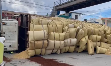 Patana cargada de arroz se vuelca frente a escuela en El Factor; conductor y acompañante resultan ilesos