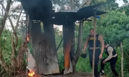 Desarticulan red de microtráfico en operativos simultáneos en Nagua y El Factor