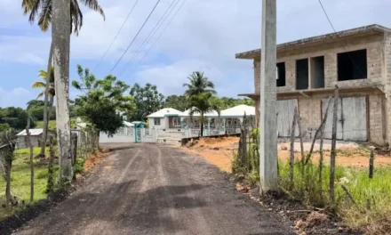 Alcaldía de Nagua inicia reparación del camino en Loma del Caño tras demanda comunitaria