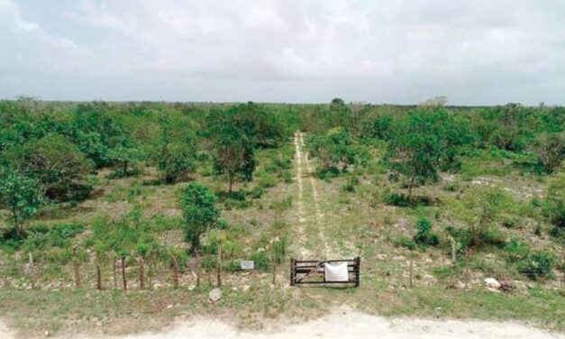 Tribunal Constitucional cierra las puertas al Aeropuerto Internacional de Bávaro