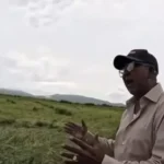 Productores arroceros de El Pozo advierten crisis por alza de costos y caída de precios