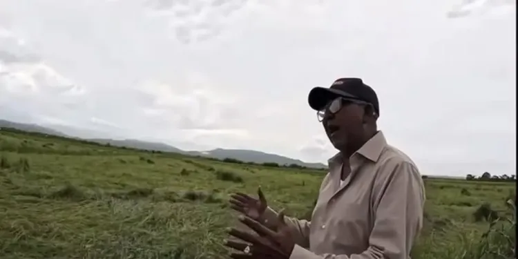 Productores arroceros de El Pozo advierten crisis por alza de costos y caída de precios