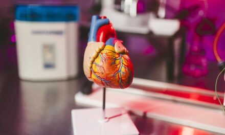 Científicos españoles descubren por qué los infartos son menos dañinos por la noche