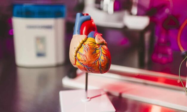 Científicos españoles descubren por qué los infartos son menos dañinos por la noche