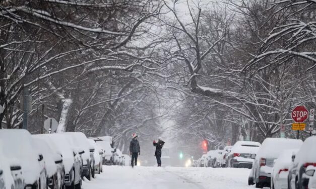 Nueva York y otros seis estados declaran estado de emergencia