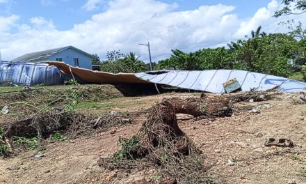 Falla estructural en el tanque del acueducto de Nagua compromete el suministro de agua