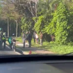 Hallan hombre muerto en acera del Jardín Botánico; autoridades investigan