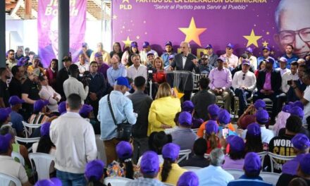 Danilo Medina opina Gobierno no cuenta con plan ante la crisis