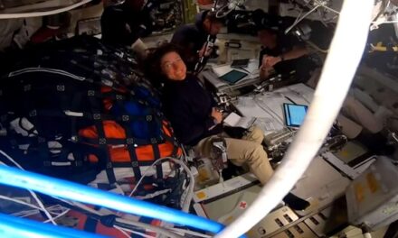 Los astronautas de Artemis II emprenden su regreso a la Tierra tras sobrevolar la Luna