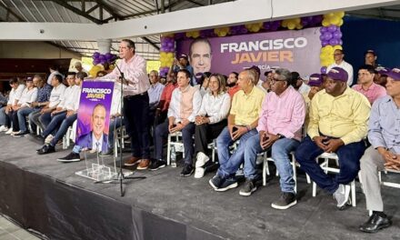 Dice para vencer a PRM, el PLD necesitará “jinete pura sangre”