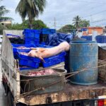 Policía Nacional, Salud Pública y Medio Ambiente desmantelan matadero clandestino en Río San Juan