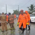 Lluvias y ráfagas de viento derriban árboles y obligan a despejar vías en Nagua y El Factor