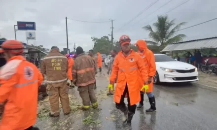 Lluvias y ráfagas de viento derriban árboles y obligan a despejar vías en Nagua y El Factor
