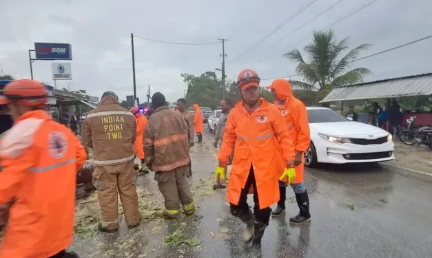 Lluvias y ráfagas de viento derriban árboles y obligan a despejar vías en Nagua y El Factor