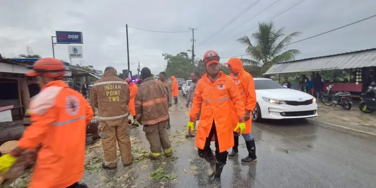 Lluvias y ráfagas de viento derriban árboles y obligan a despejar vías en Nagua y El Factor