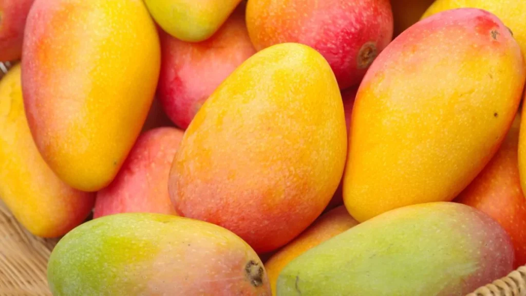 Cinco beneficios del mango para la salud y quiénes deberían consumirlo con moderación