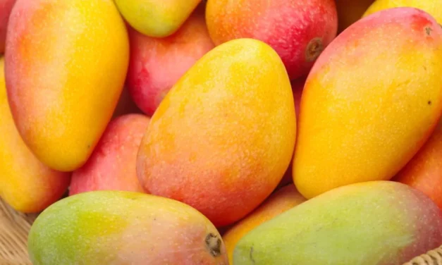Cinco beneficios del mango para la salud y quiénes deberían consumirlo con moderación