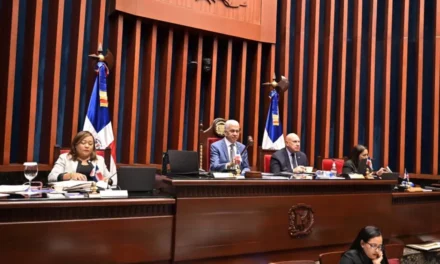 Senado aprueba en primera lectura Ley de reforma policial con duras sanciones y nueva categorización
