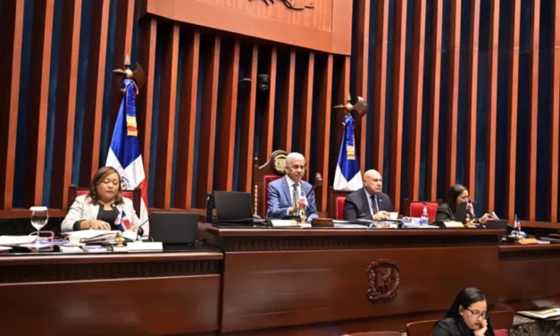 Senado aprueba en primera lectura Ley de reforma policial con duras sanciones y nueva categorización