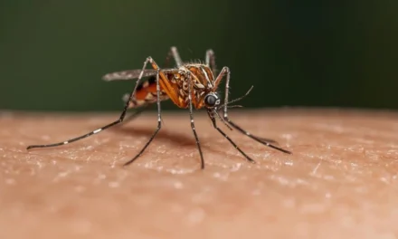 Salud Pública reporta 213 casos de dengue y descarta alerta epidemiológica